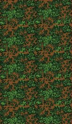 camouflage011B.jpg
